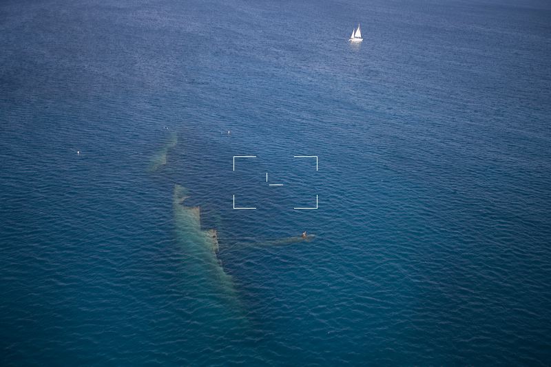antilla shipwreck aruba