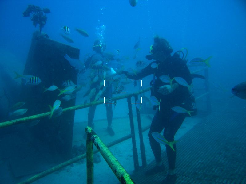 Aruba Sea Trek Underwater Walk S7020061025008.JPG