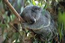 au-qld-0027