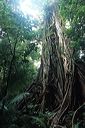 au-qld-0126