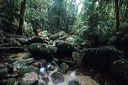 au-qld-0127