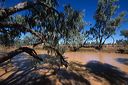 au-qld-0197
