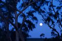 au-qld-0236