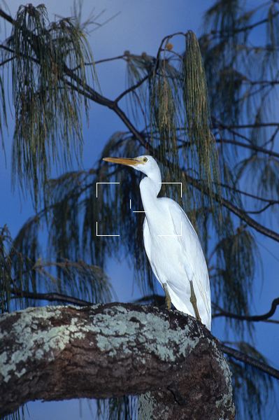 au-qld-0011.jpg