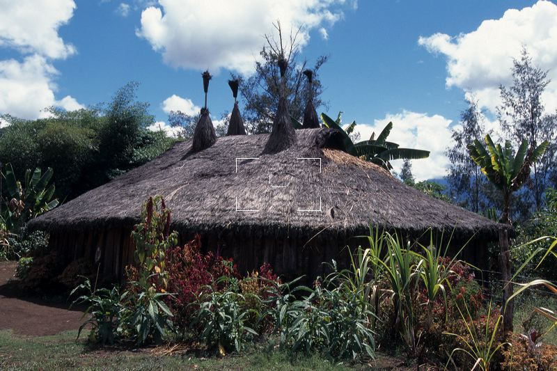 Papua New Guinea Hut with 4 Wives Symbol PG0050.tif