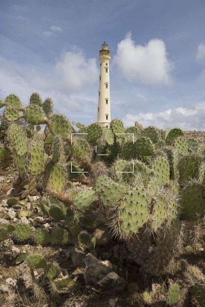 2006-10-24-013.jpg