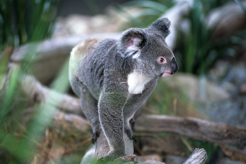 au-qld-0125.jpg