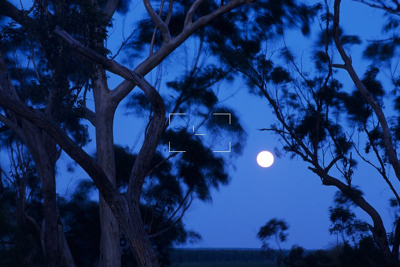 au-qld-0236.jpg