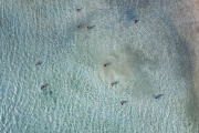 Mavic2-2019-06-20-020