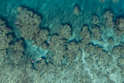 Mavic2-2019-06-16-020