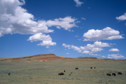US-WY-0066