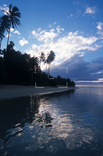 ws-0050.jpg
