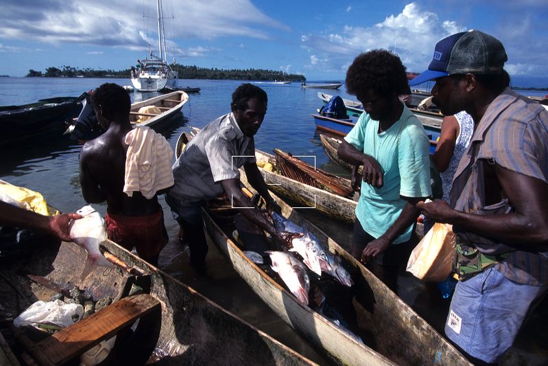 Рыболовством занимаются народы. Сельское хозяйство Соломоновы острова. Соломоновы острова экономика. Соломоновы острова рыболовство. Рыболовство в Океании.