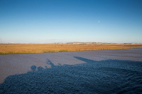 2014-09-06-116