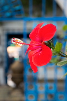 2014-09-13-096