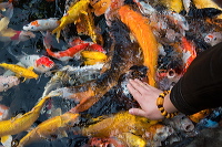 2014-01-30-074