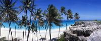 pano-bb-001
