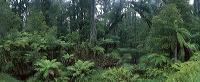 pano-nz-030