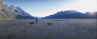 pano-nz-034