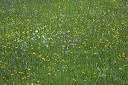 2015-05-29-056