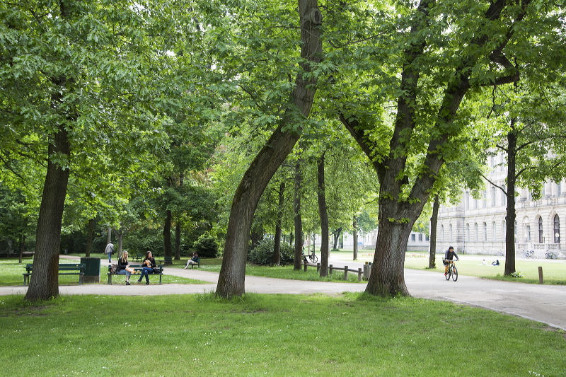 2015-05-28-006.jpg
