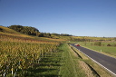 2014-10-19-015