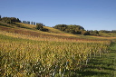 2014-10-19-016