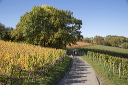 2014-10-19-021