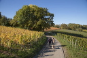 2014-10-19-022