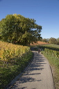 2014-10-19-023
