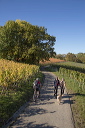 2014-10-19-025