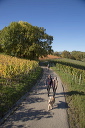 2014-10-19-026
