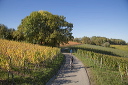 2014-10-19-028