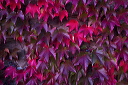 2014-10-19-064