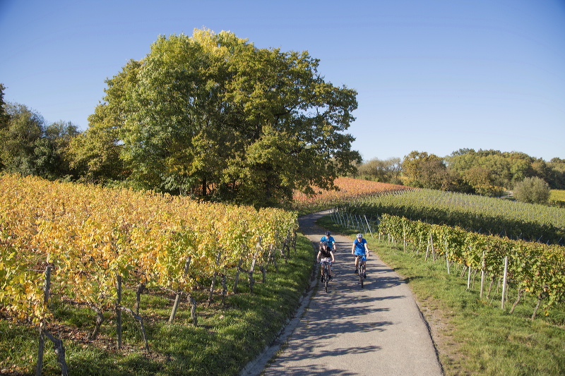 2014-10-19-031.jpg