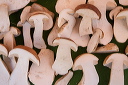 2013-07-05-005