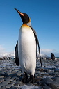 pc-2014-11-13-004