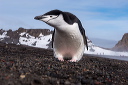 pc-2014-12-08-003