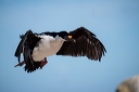 pc-2014-12-15-006