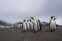 pc-2014-12-21-012