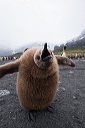 pc-2014-12-21-018