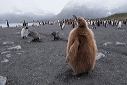 pc-2014-12-21-020