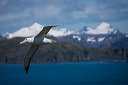 pc-2015-01-10-008