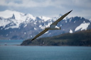 pc-2015-01-10-009