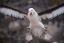 pc-2015-01-24-002
