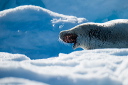 pc-2015-02-03-013