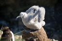 pc-2015-02-11-001