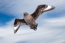 pc-2015-02-21-019
