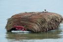 pc-2014-04-30-003