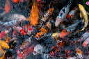 pc-2014-05-10-003